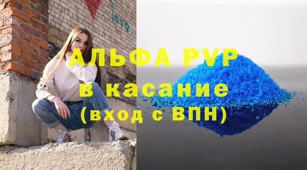 ешки Новозыбков