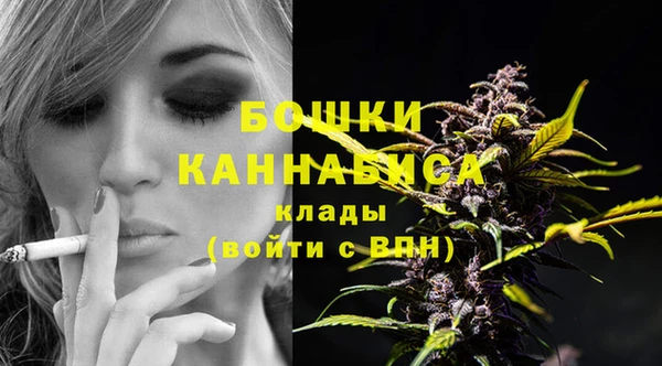эйфоретик Новокубанск