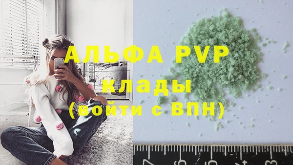 прущие крисы Новодвинск