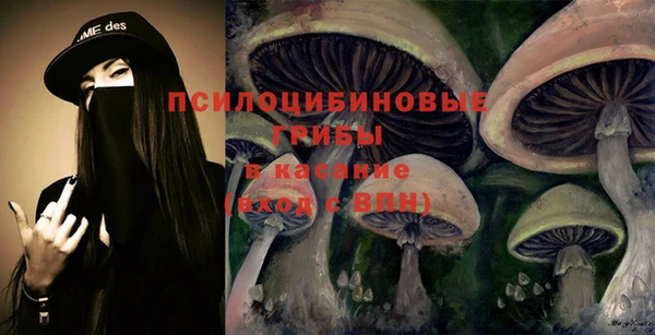 ешки Новозыбков