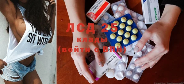 ешки Новозыбков