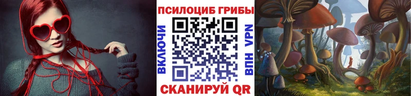 Псилоцибиновые грибы Magic Shrooms  сайты даркнета официальный сайт  Сосновка 